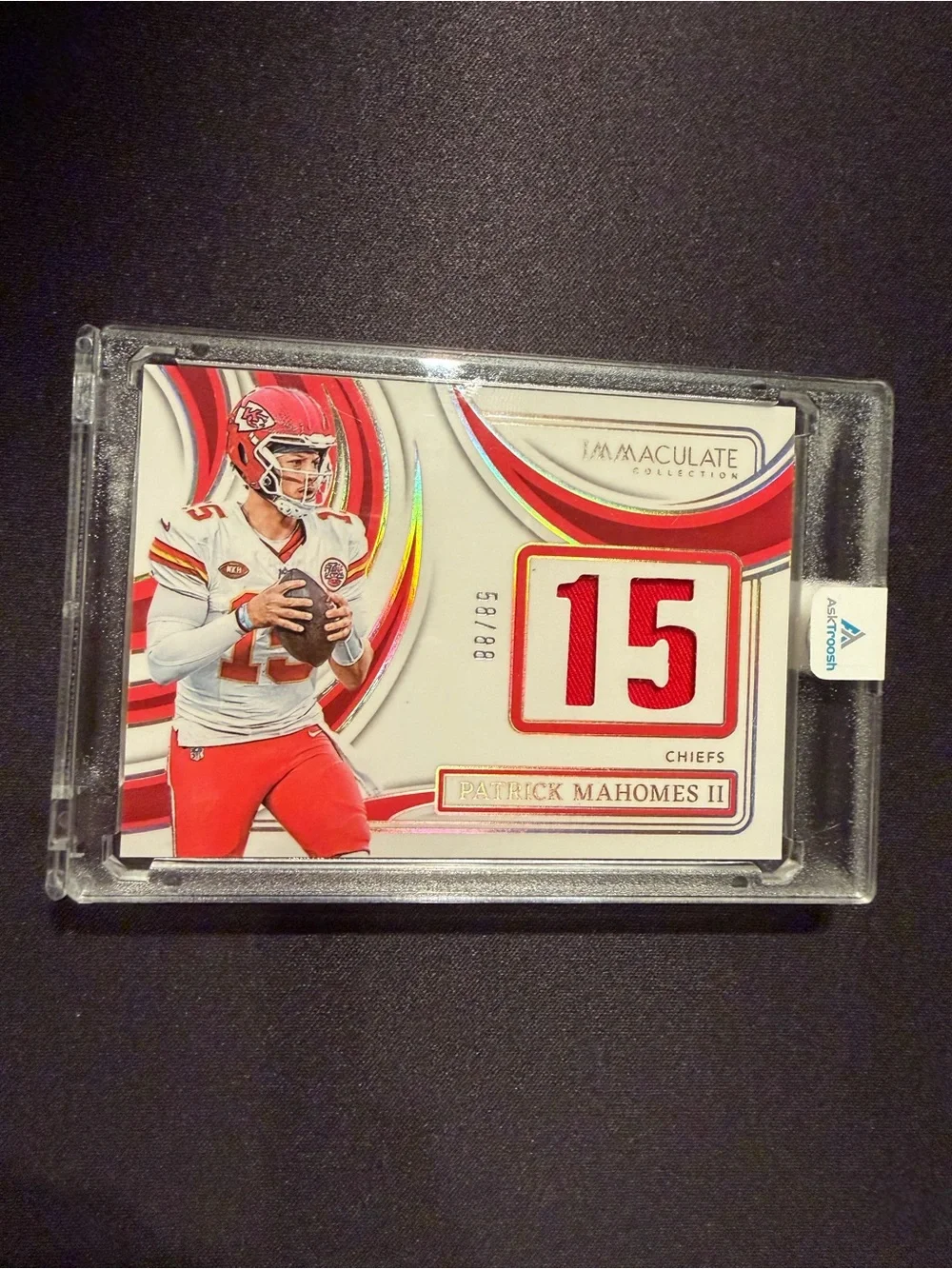 Panini product 2024